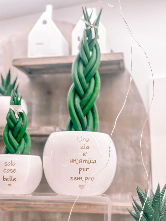 Pianta grande personalizzata
