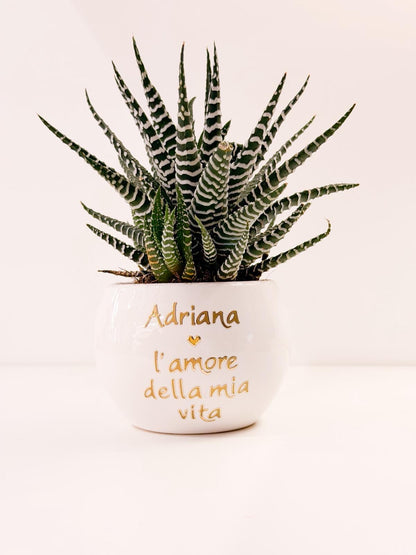 Pianta piccola personalizzata