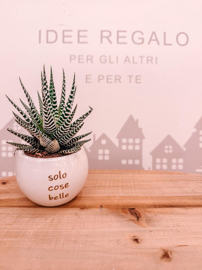 Pianta piccola personalizzata
