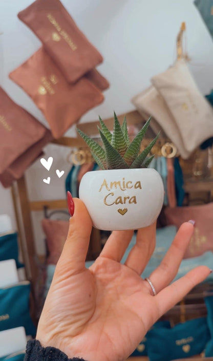 Pianta mini personalizzata