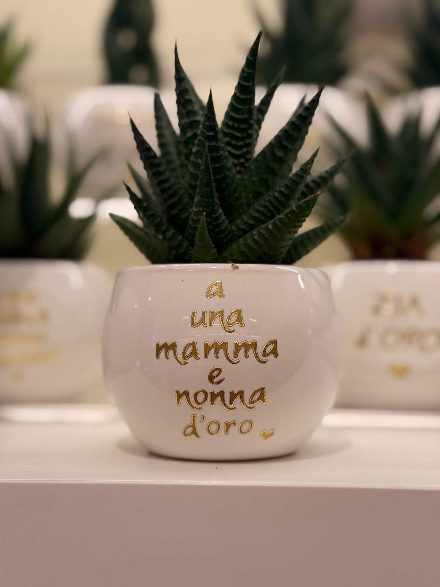 Pianta piccola personalizzata