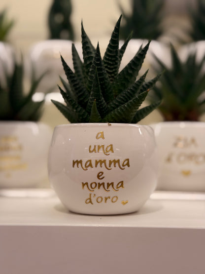 Pianta piccola personalizzata