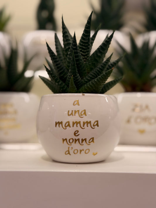 Pianta piccola personalizzata