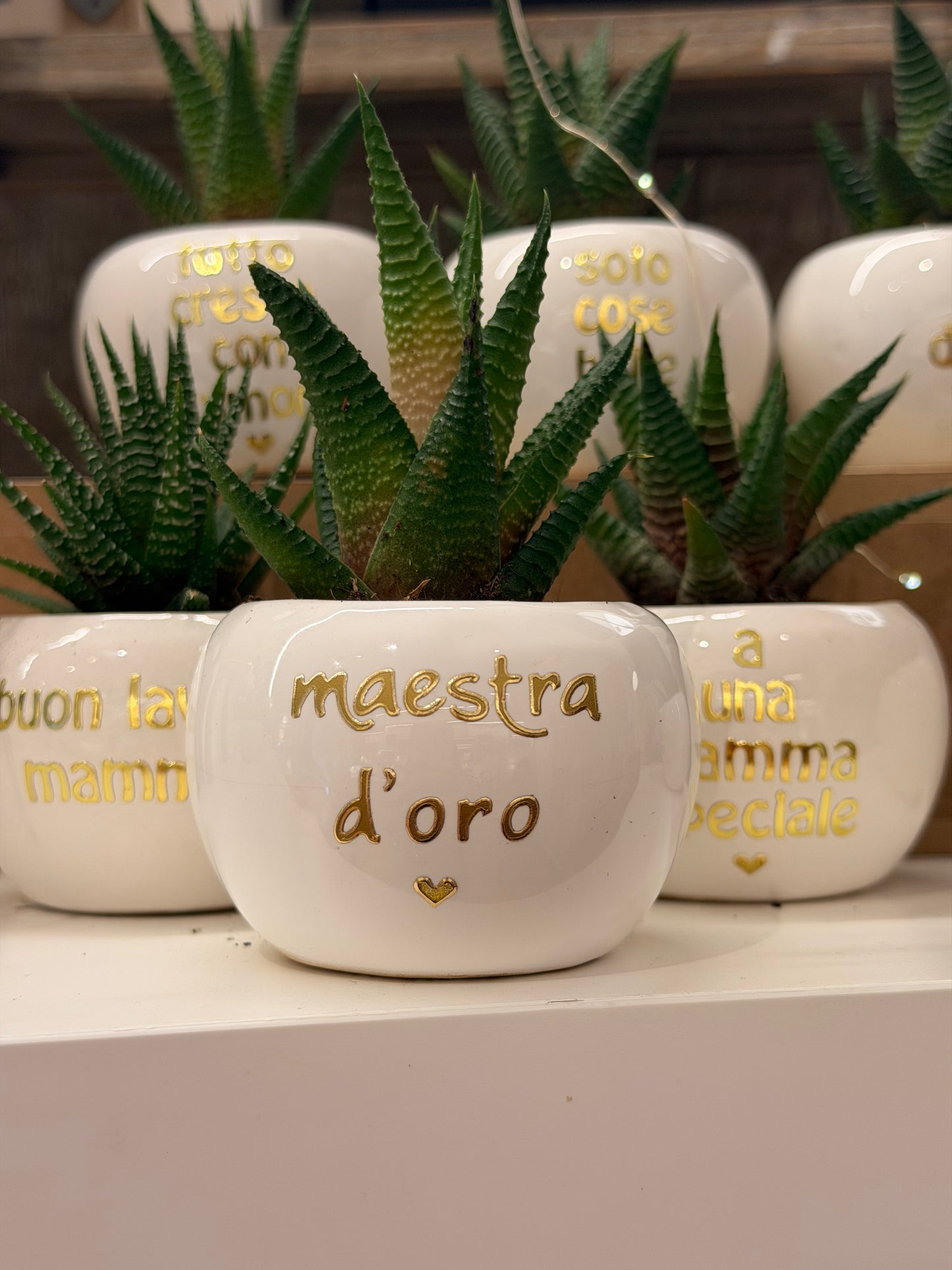 Pianta mini personalizzata